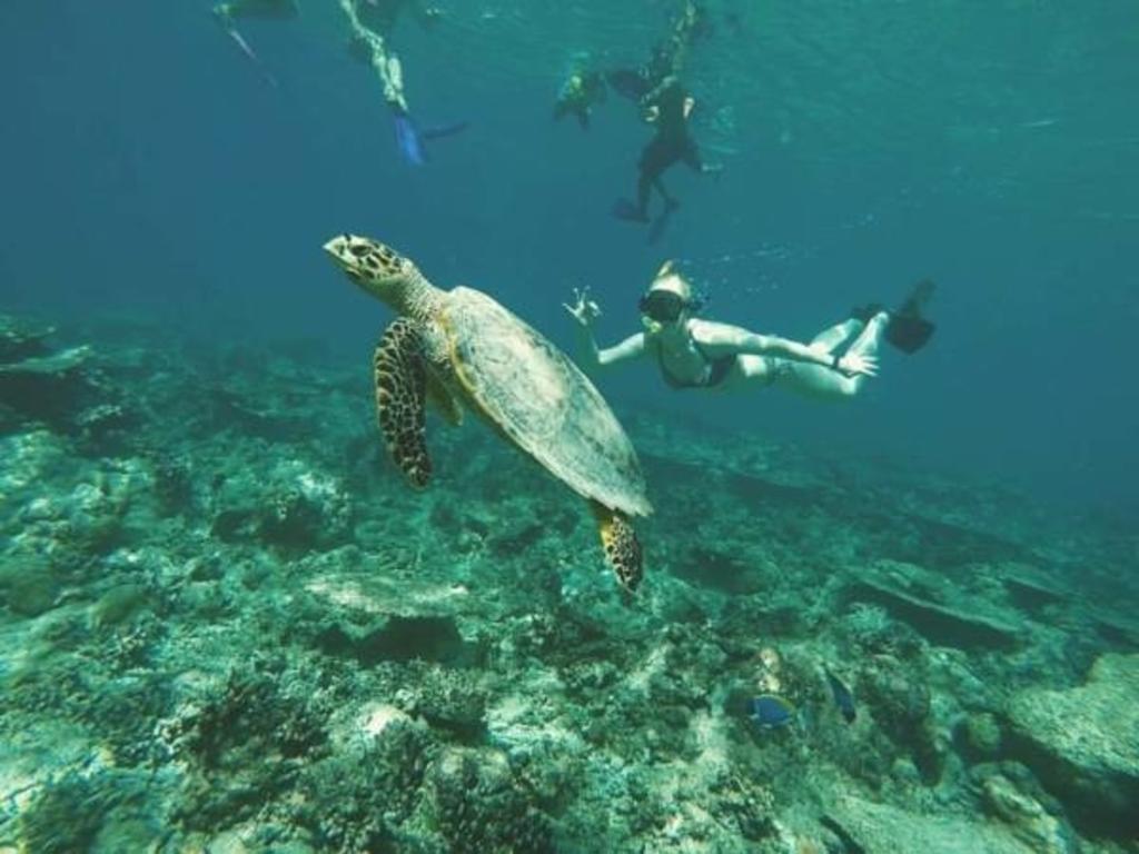 Gurus Maldives At Gulhi Island Hotel Exterior photo